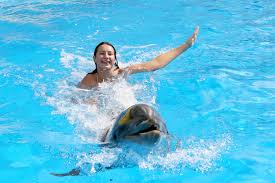 Nado exclusivo con delfines